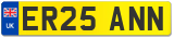 ER25 ANN