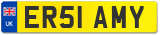 ER51 AMY