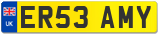 ER53 AMY