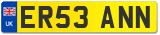 ER53 ANN