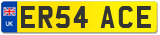 ER54 ACE