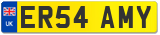 ER54 AMY