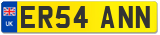 ER54 ANN