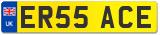 ER55 ACE