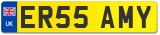 ER55 AMY