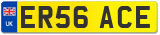 ER56 ACE