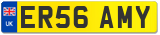 ER56 AMY