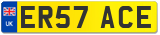 ER57 ACE