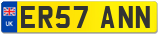 ER57 ANN