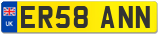 ER58 ANN