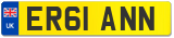 ER61 ANN