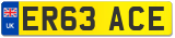 ER63 ACE