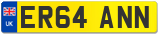 ER64 ANN