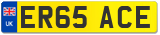 ER65 ACE