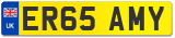 ER65 AMY