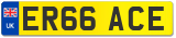 ER66 ACE