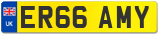 ER66 AMY