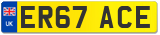 ER67 ACE