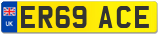 ER69 ACE