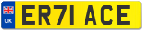 ER71 ACE