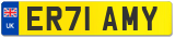 ER71 AMY