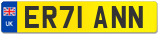 ER71 ANN