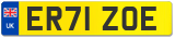 ER71 ZOE