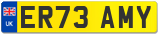 ER73 AMY