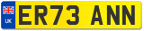 ER73 ANN