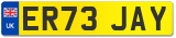 ER73 JAY