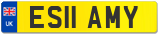 ES11 AMY