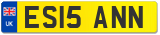 ES15 ANN