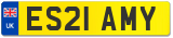 ES21 AMY