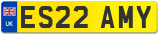 ES22 AMY