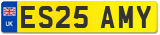 ES25 AMY