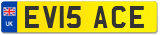 EV15 ACE