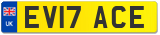 EV17 ACE