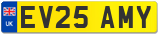 EV25 AMY