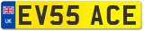 EV55 ACE