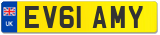 EV61 AMY