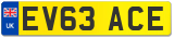 EV63 ACE