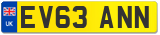 EV63 ANN