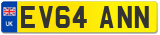 EV64 ANN