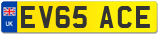 EV65 ACE