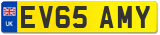 EV65 AMY