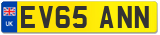 EV65 ANN