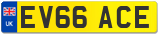 EV66 ACE