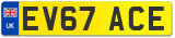 EV67 ACE