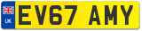 EV67 AMY