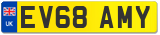 EV68 AMY